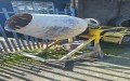Arriendo de maquinaria y herramientas para construcción