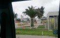 Melón Hormigones La Serena