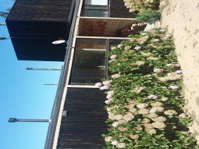 Contratista en construccion - Photo 2