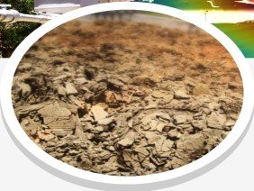Envirolog - Ingeniería y Estudios - Photo 1