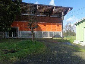 Universidad de Los Lagos, Puerto Montt - Photo 1