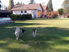CASAS LAGO RANCO LTDA - Photo 1