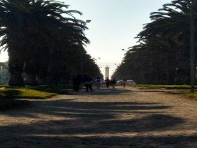 Inacap La Serena - Photo 4