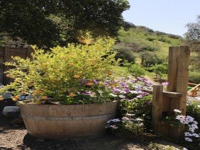 VIVERO BOSQUE ANTIGUO | Plantas para el cambio climático - Photo 1