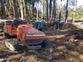Chiloe | Consultora Forestal Sur Consultores - Photo 0