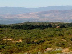 Entrenieblas - Photo 5