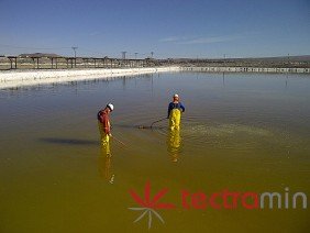 Tectramin Chile - Photo 5