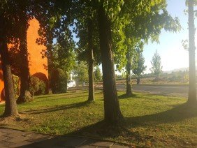 University of Talca Curicó Campus - Photo 3