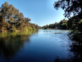 Municipality of Maule - Photo 4